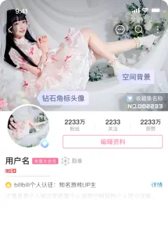 预览