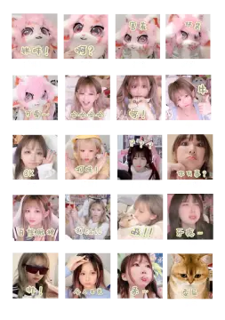 预览