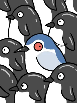 预览