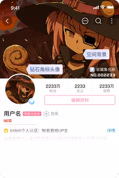 预览