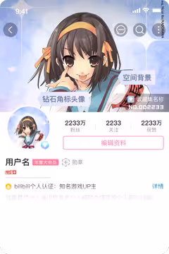 预览