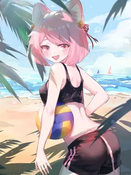 预览