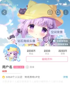预览