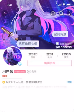 预览