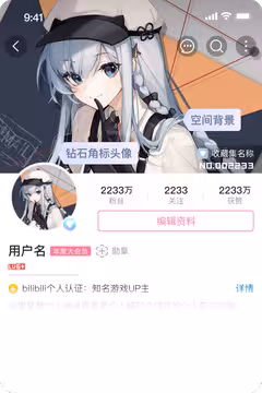 预览