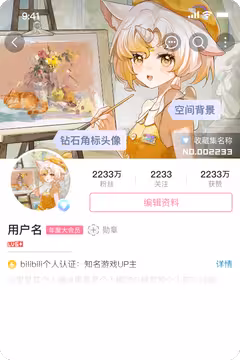 预览