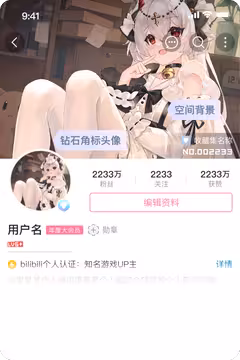 预览
