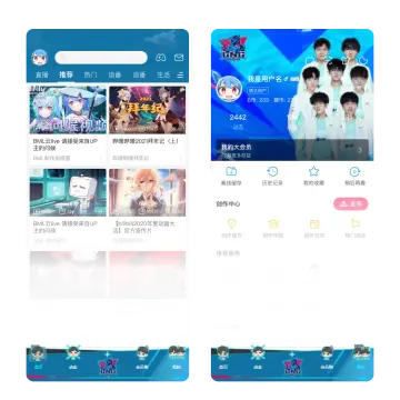 预览