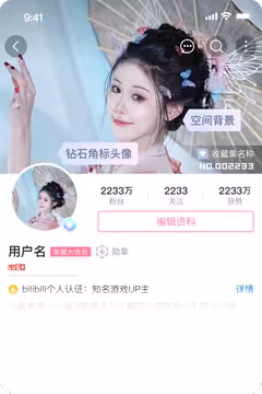 预览