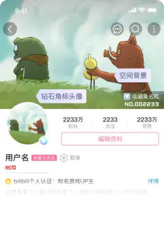 预览