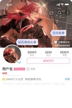 预览
