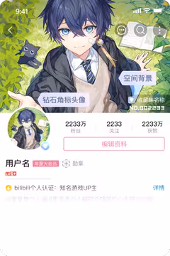 预览