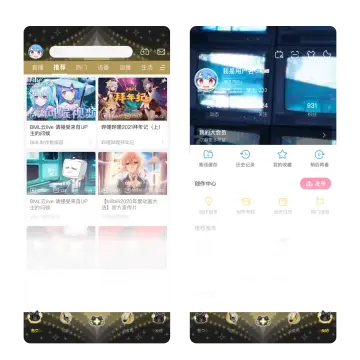 预览