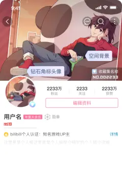 预览