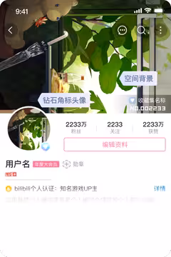 预览