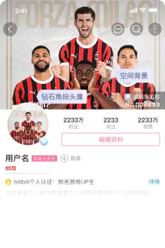 预览