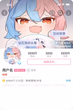 预览