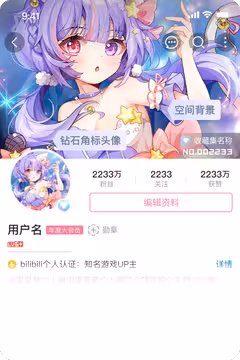 预览