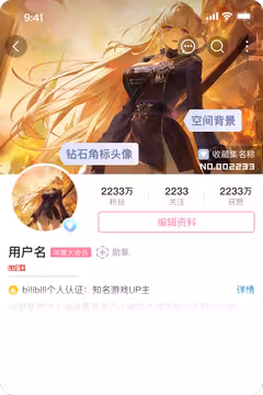预览