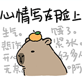 [水豚阿米go_写在脸上]
