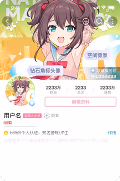 预览