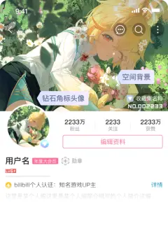 预览