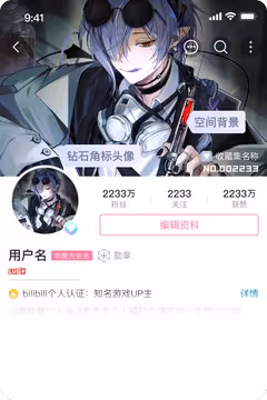 预览