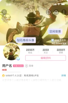 预览