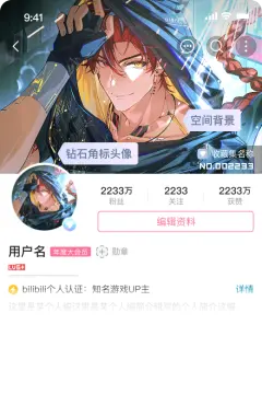 预览
