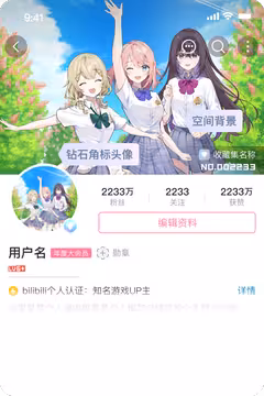 预览