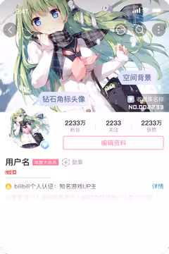 预览