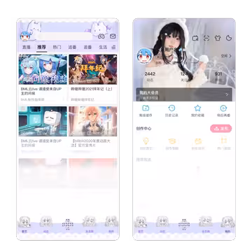 预览