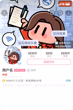 预览