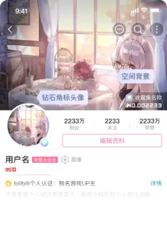 预览