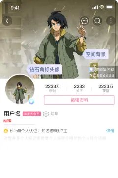 预览