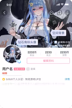 预览