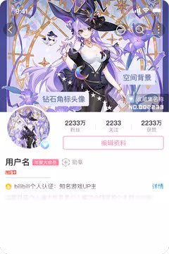 预览