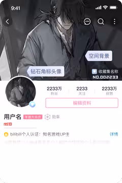 预览