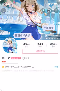 预览