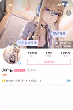 预览