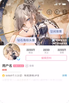 预览