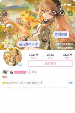 预览