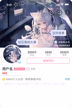预览