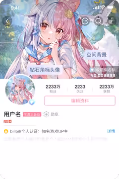 预览