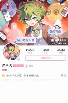预览