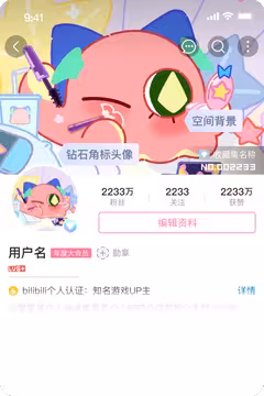 预览