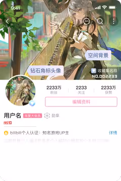 预览