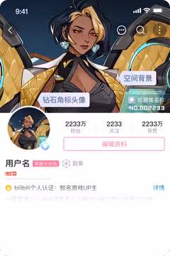 预览