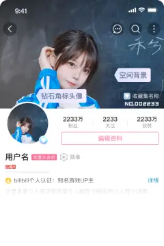 预览