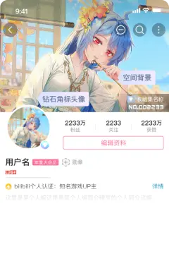 预览